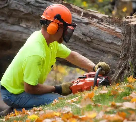 tree services Pipestone